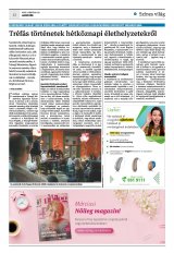 Krónika XXIV. évfolyam, 47. szám