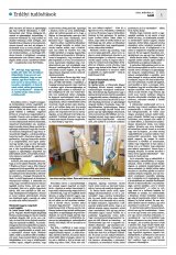 Krónika XXIV. évfolyam, 54. szám