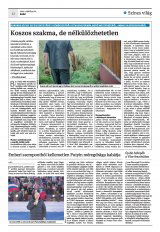 Krónika XXIV. évfolyam, 55. szám