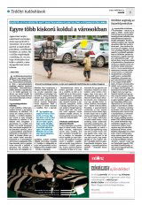 Krónika XXIV. évfolyam, 56. szám