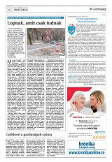 Krónika XXIV. évfolyam, 58. szám