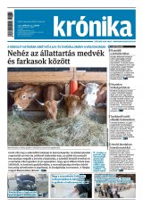 XXIV. évfolyam, 61. szám
