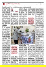 Krónika XXIV. évfolyam, 62. szám
