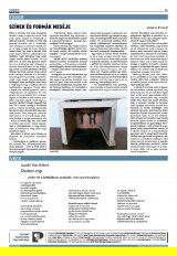Krónika XXIV. évfolyam, 64. szám