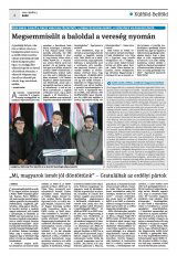Krónika XXIV. évfolyam, 65. szám