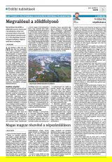 Krónika XXIV. évfolyam, 66. szám