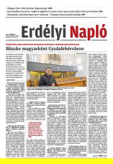 Krónika XXIV. évfolyam, 67. szám