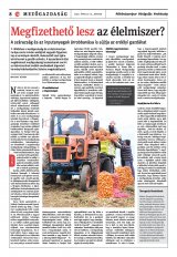 Székelyhon napilap IV. évfolyam, 71. szám