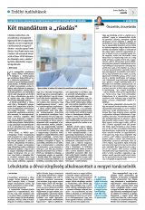Krónika XXIV. évfolyam, 71. szám