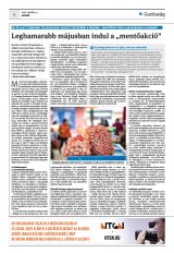Krónika XXIV. évfolyam, 71. szám