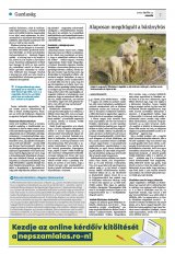 Krónika XXIV. évfolyam, 71. szám