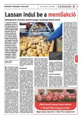 Székelyhon napilap IV. évfolyam, 72. szám