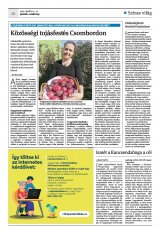 Krónika XXIV. évfolyam, 73. szám