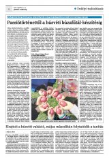 Krónika XXIV. évfolyam, 73. szám