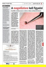 Székelyhon napilap IV. évfolyam, 74. szám