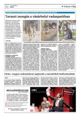 Krónika XXIV. évfolyam, 74. szám