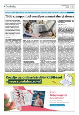 Krónika XXIV. évfolyam, 74. szám