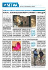 Krónika XXIV. évfolyam, 75. szám