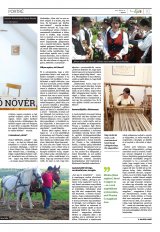 Székelyhon napilap IV. évfolyam, 76. szám