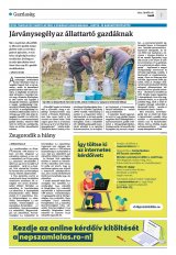 Krónika XXIV. évfolyam, 77. szám