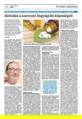 Krónika XXIV. évfolyam, 77. szám