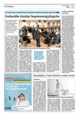 Krónika XXIV. évfolyam, 77. szám