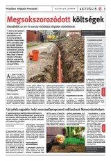 Székelyhon napilap IV. évfolyam, 79. szám