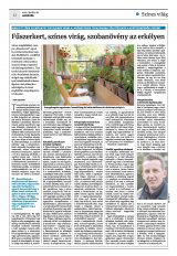Krónika XXIV. évfolyam, 79. szám