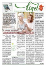 Székelyhon napilap IV. évfolyam, 84. szám