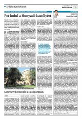 Krónika XXIV. évfolyam, 84. szám