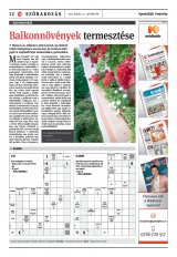Székelyhon napilap IV. évfolyam, 88. szám