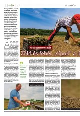 Székelyhon napilap IV. évfolyam, 94. szám