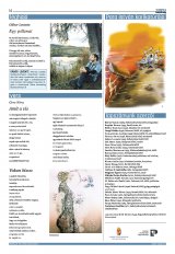 Székelyhon napilap IV. évfolyam, 100. szám