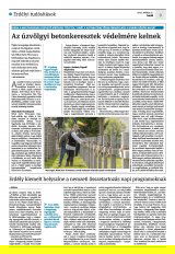 Krónika XXIV. évfolyam, 101. szám