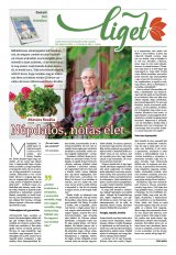 Székelyhon napilap IV. évfolyam, 107. szám