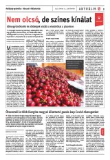 Székelyhon napilap IV. évfolyam, 111. szám