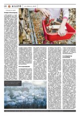 Székelyhon napilap IV. évfolyam, 113. szám
