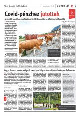 Székelyhon napilap IV. évfolyam, 123. szám