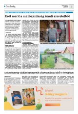 Krónika XXIV. évfolyam, 126. szám