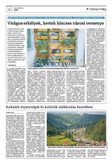Krónika XXIV. évfolyam, 129. szám