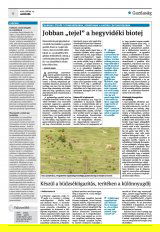 Krónika XXIV. évfolyam, 131. szám
