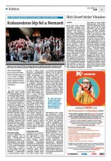 Krónika XXIV. évfolyam, 133. szám