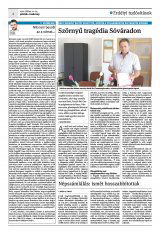 Krónika XXIV. évfolyam, 137. szám