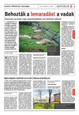Székelyhon napilap IV. évfolyam, 145. szám