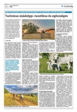 Krónika XXIV. évfolyam, 158. szám