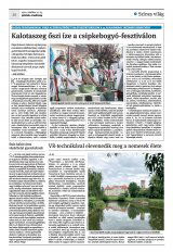 Krónika XXIV. évfolyam, 201. szám