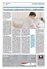 Krónika XXIV. évfolyam, 203. szám