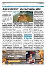 Krónika XXIV. évfolyam, 203. szám