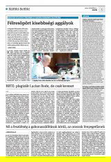 Krónika XXIV. évfolyam, 209. szám