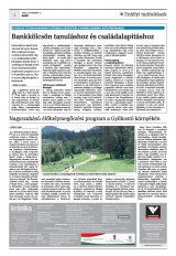Krónika XXIV. évfolyam, 212. szám